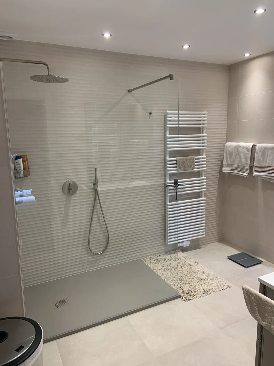 Afgewerkte badkamer met glazen douchewand en regendouche